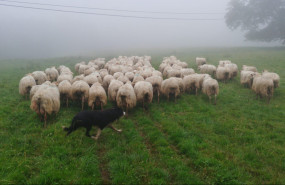 1623057872 comunicae 1623057872 comunicae