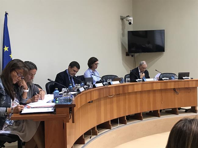 ep alfonso sanchez izquierdocomision parlamentaria