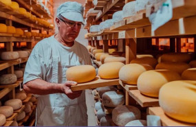 ep bbva lanza la v edicion de los premios a los mejores productores sostenibles