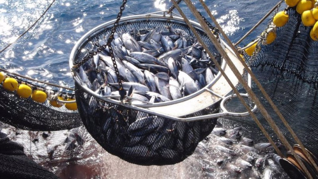 ep capturas de atun de atuneros espanoles