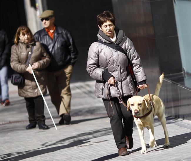 Discapacidad, discapacitado, ciego, personas ciegas con perro guía, lazarillo | EUROPA PRESS - Archivo ep discapacidad discapacitado ciego personas ciegasperro guia lazarillo 20180801173602