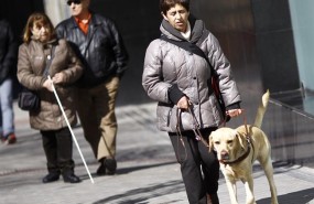 ep discapacidad discapacitado ciego personas ciegasperro guia lazarillo 20180801173602