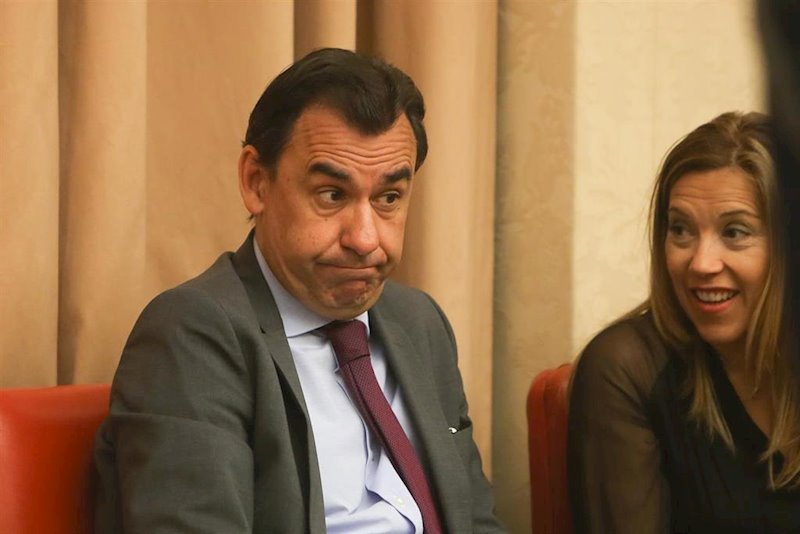 ep fernando martinez-maillo senador por zamora