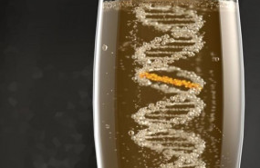ep ilustracion de un entrecruzamiento entre cadenas inducido por el alcohol icl el icl es la