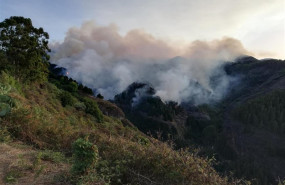 ep incendiovallesecola islagran canaria