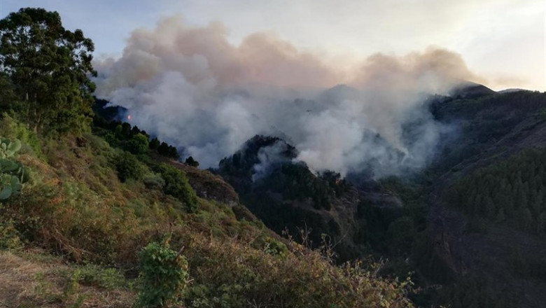 Incendio de Valleseco en la isla de Gran Canaria. | Europa Press - Europa Press ep incendiovallesecola islagran canaria