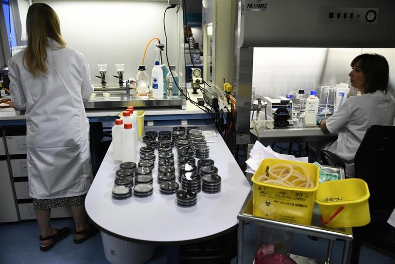 ep investigadoras trabajan en el laboratorio regional de salud publica de la comunidad de madrid
