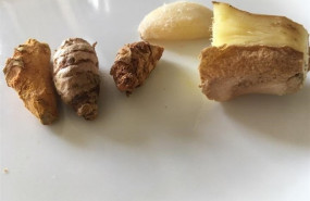 ep la curcumaha utilizadola cocinacomo medicina durante sigloslos paises asiaticos yingrediente activo la curcumina ha demostradocapacidades antioxidantes antiinflamatoriasde formacion osea