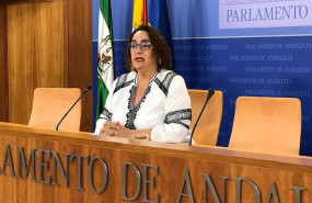 ep la portavoz adjunta del grupo parlamentario de adelante andalucia angela aguilera en rueda de