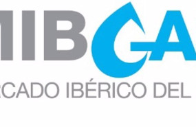 ep mercado iberico del gas