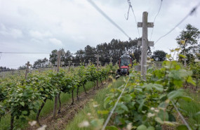 ep un trabajador montado en un tractor trabaja en los vinedos de la empresa txakoli txabarri