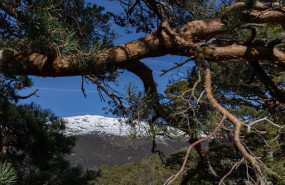 ep vistas del macizo de penalara desde el pinar de los belgas a 7 de abril de 2022 en madrid espana