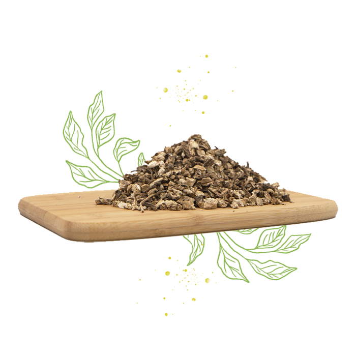 1617567056 plantas medicinales home