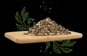 1617567056 plantas medicinales home