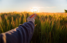 1633520145 imagina cponet