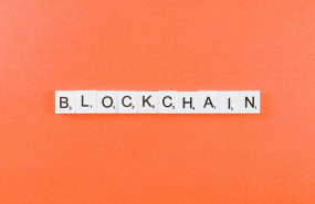 1643307136 birdercapital io