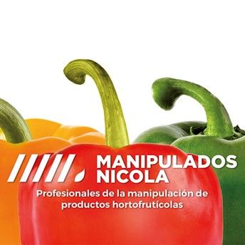 1649398475 blog cedecmanipulados nicola