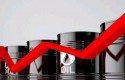 cbpetroleo1 short11 cbpetroleo1 short11