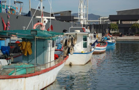 ep archivo   barcos pesqueros 20251125183404