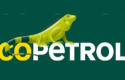 ep archivo   logo de ecopetrol 20251124174810