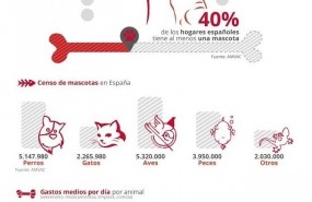 ep cifrasperrosgatosespana