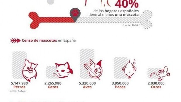 ep cifrasperrosgatosespana