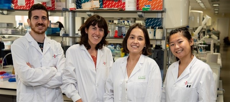 Confirman la existencia de un nuevo subtipo de linfoma pediátrico y aportan nuevos datos para mejorar el diagnóstico y tratamiento | CIBER ep confirmanexistenciaun nuevo subtipolinfoma pediatricoaportan nuevos datosmejorardiagnosticotratamiento