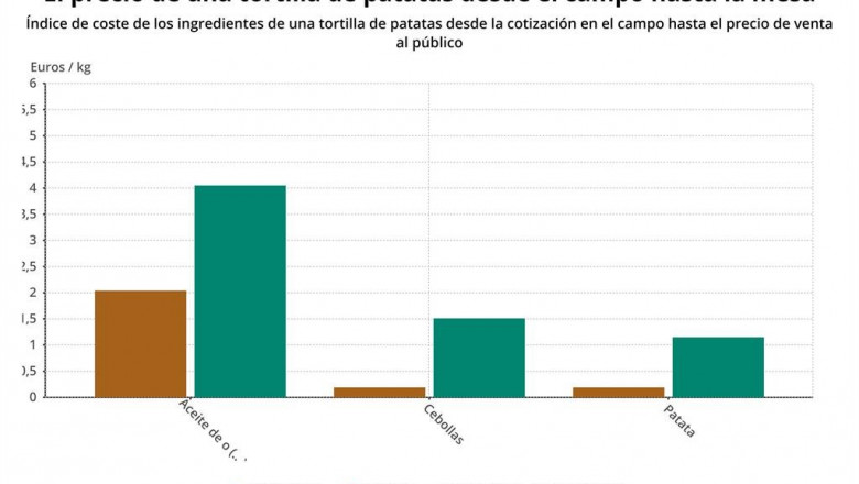 El coste de una tortilla de patata con aceite de oliva se multiplica por más de siete del campo a la mesa | EPDATA ep el coste de una tortilla de patata con aceite de oliva se multiplica por mas de siete del campo a