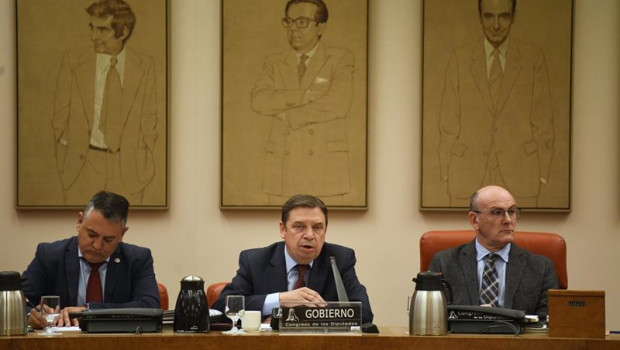 ep el ministro de agricultura pesca y alimentacion luis planas c comparece en la comision de