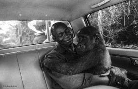 ep fotografia ganadorawildlife photographer of the year 2017-2018