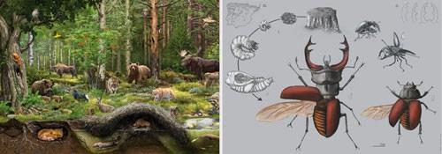 ep illustraciencia