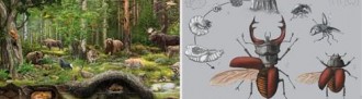 ep illustraciencia