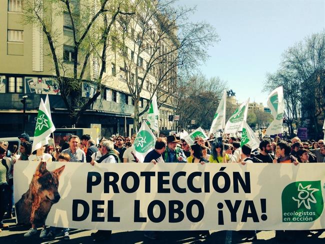 Manifestación en favor del lobo ibérico | ECOLOGISTAS EN ACCIÓN ep manifestacionfavorlobo iberico