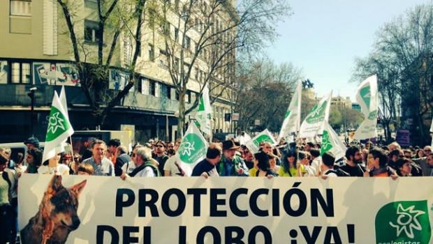 ep manifestacionfavorlobo iberico