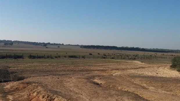 ep reserva naturalla dehesaabajo cercadonana en sequia