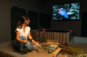 lego green noise 7 lego green noise 7