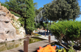 123   2023 05 06t101541109 