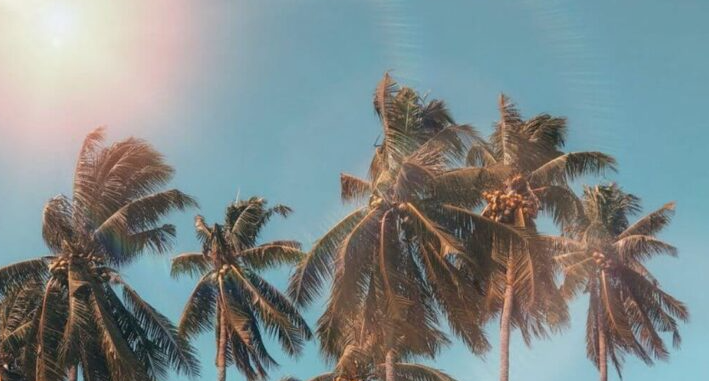 1656657202 captura de pantalla 2022 07 01 a las 83232