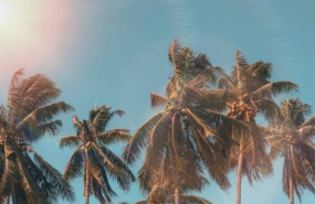 1656657202 captura de pantalla 2022 07 01 a las 83232