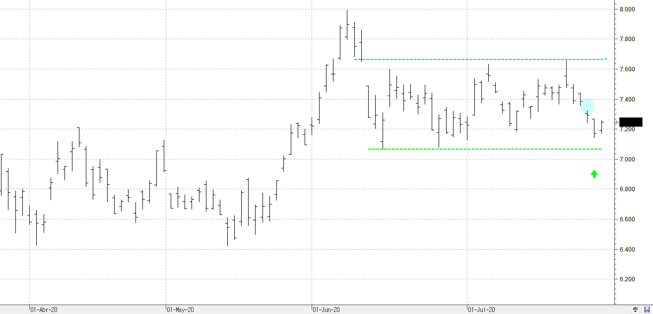 c280720ibex