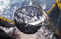 ep archivo   atun de pesca responsable