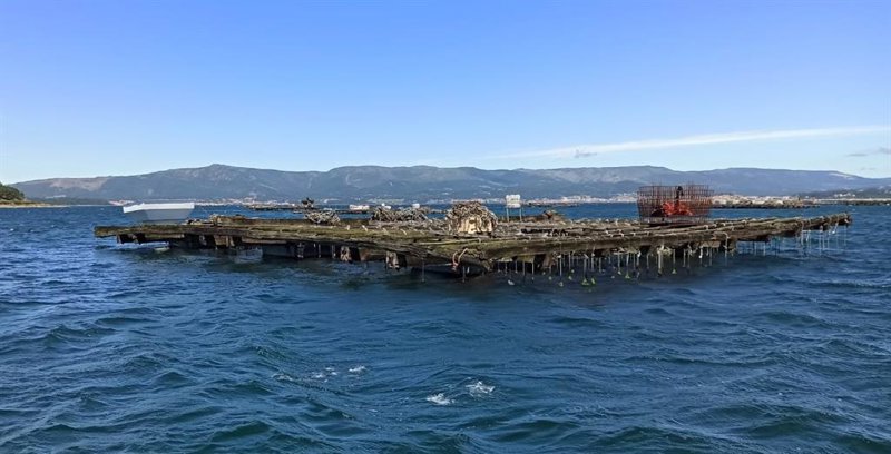 ep archivo   batea de mejillones en a illa de arousa
