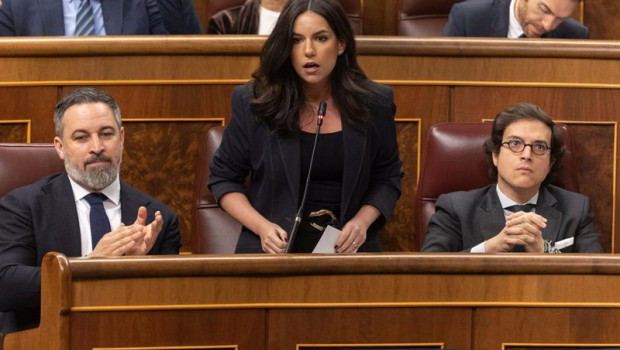ep archivo   la portavoz de vox en el congreso pepa millan interviene durante una sesion de control