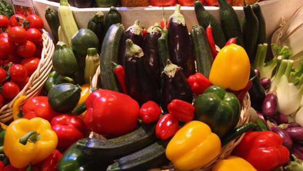 ep archivo   verduras y hortalizas