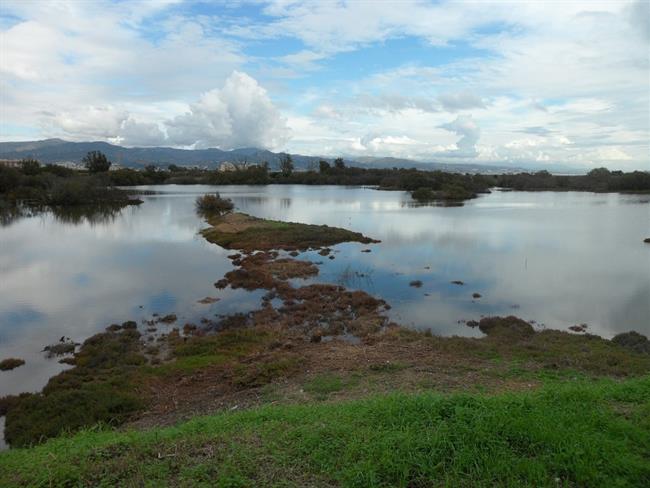 Coca-Cola en España devolvió en 2016 a la naturaleza el 95% del agua que contien | COCA-COLA ep coca-colaespana devolvio en 2016la naturaleza95 del aguacontien