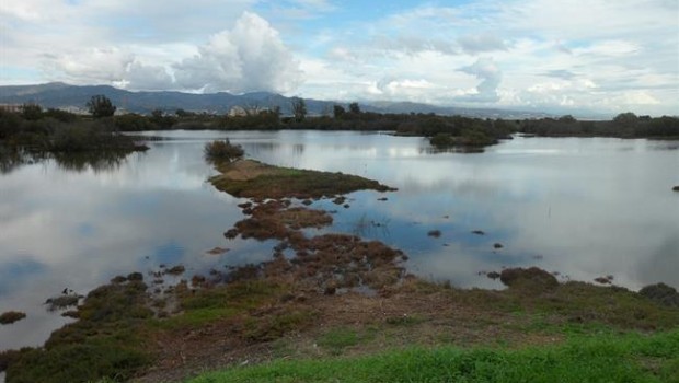 ep coca-colaespana devolvio en 2016la naturaleza95 del aguacontien