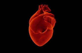 ep corazon 20190506105904 ep corazon 20190506105904