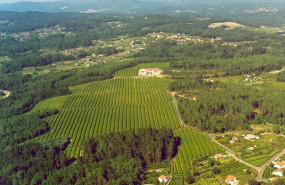 ep cvne incorpora bodegas la val situada en las rias baixas