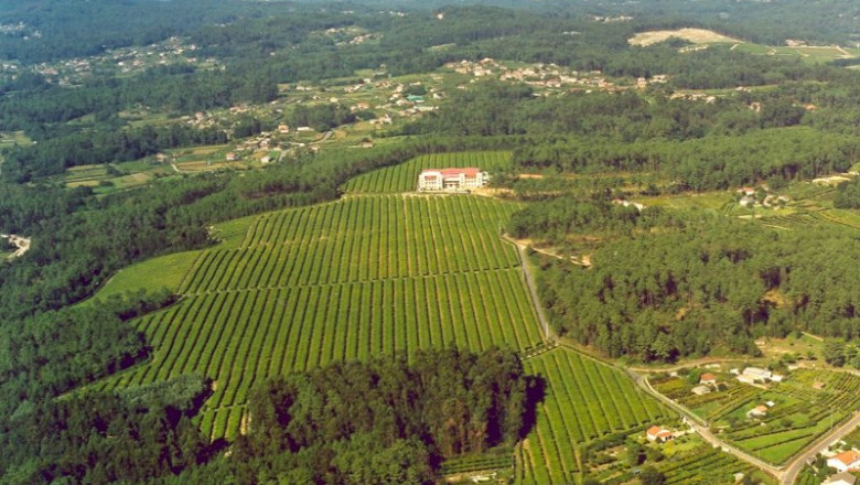 ep cvne incorpora bodegas la val situada en las rias baixas ep cvne incorpora bodegas la val situada en las rias baixas