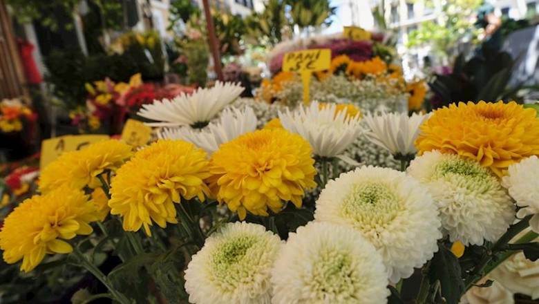 ep flores a la venta en un puesto en el mercado de flores de tirso de molina